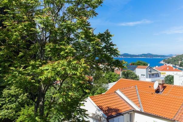 Niki Apartment دوبروفينك المظهر الخارجي الصورة